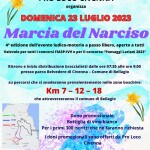 Marcia narciso light (1)