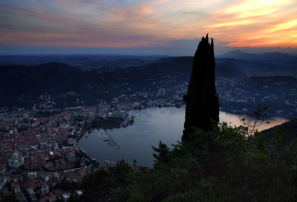 brunate