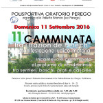 A4camm_perech_2016