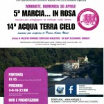VOLANTINO MARCIA ROSA 2017