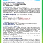 Volantino Verde Missaglia 2017 (2)
