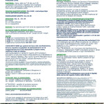 BREGNANO 26 GENNAIO (2)