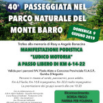 volantino GALBIATE 9 GIUGNO 2019