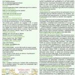 Volantino Maratalea 2019 - lr (1) (2)