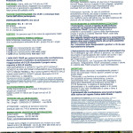 bregnano 26 gennaio (2)