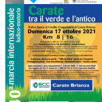carate volantino ok copia