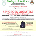 volantino OLGIATE COMASCO 10 APRILE (2)
