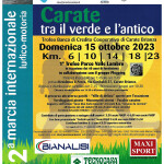 VOLANTINO CARATE