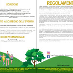 VOLANTINO 50 PASSI INSIEME FINO MORNASCO 6 APRILE (2)